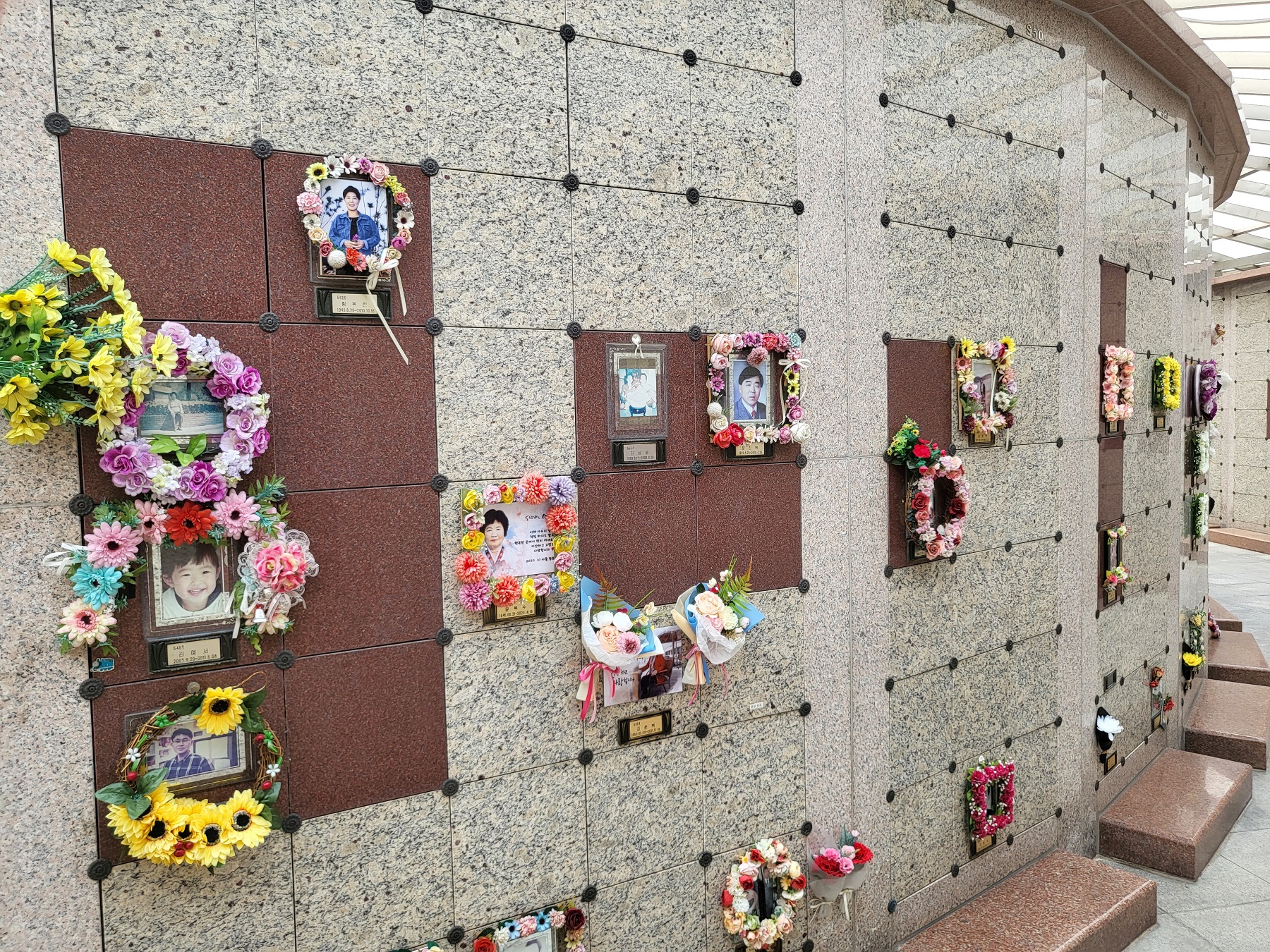 5동 개인단